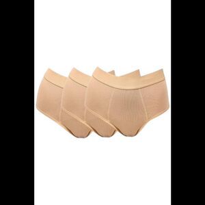 Rhonda Shear 3-pack Shear Protection Leak-Resistant Bamboo Brief Beige -